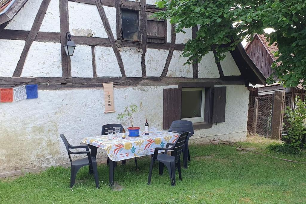 Le Berger Du Salzbach Villa Romanswiller Екстериор снимка